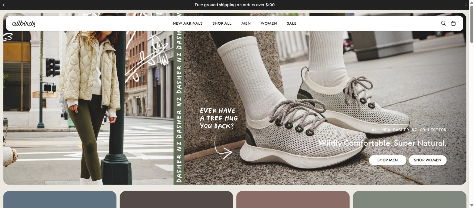 Boutique de vêtements Allbirds sur Shopify
