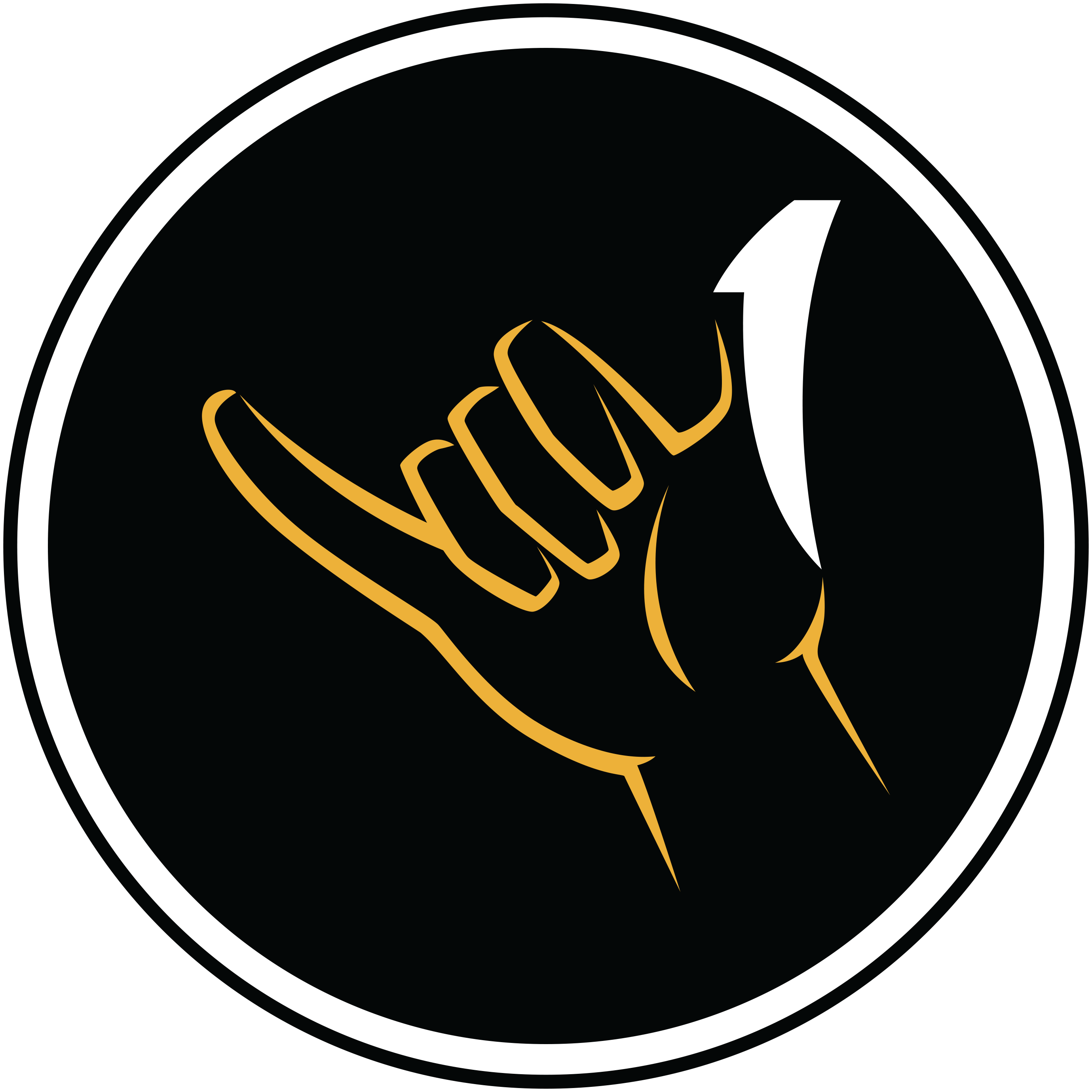 Logo icon 1Match amical application